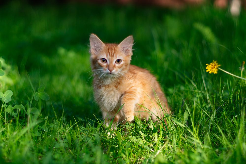 Photograph by Диана Герасимова