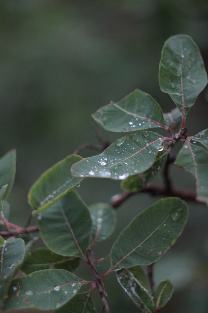 Photograph by Расшивина Дарья