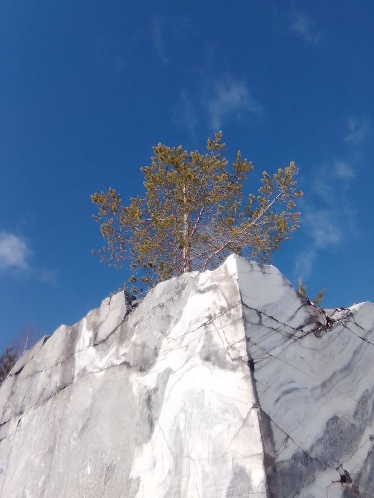 Фотография автора Irina Mihailovskaya