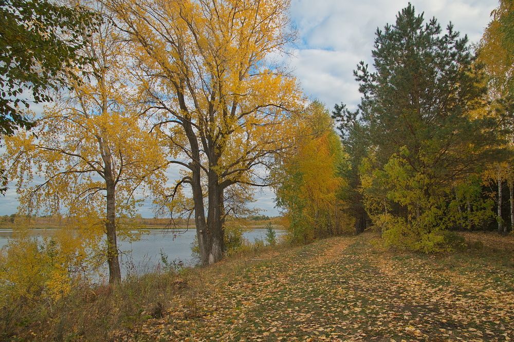 Photograph by Василий Быстрицкий