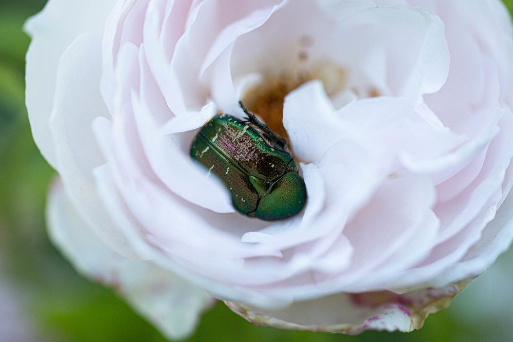 Photograph by Ирина Гентош