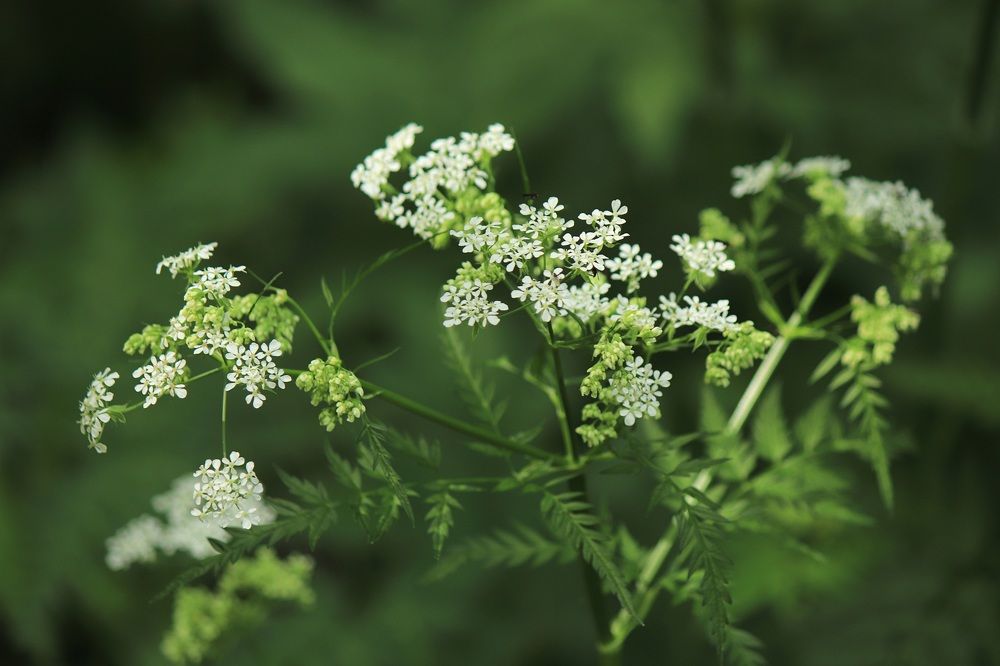 Photograph by Елена Николаева