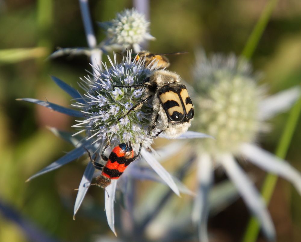Photograph by Василий Быстрицкий