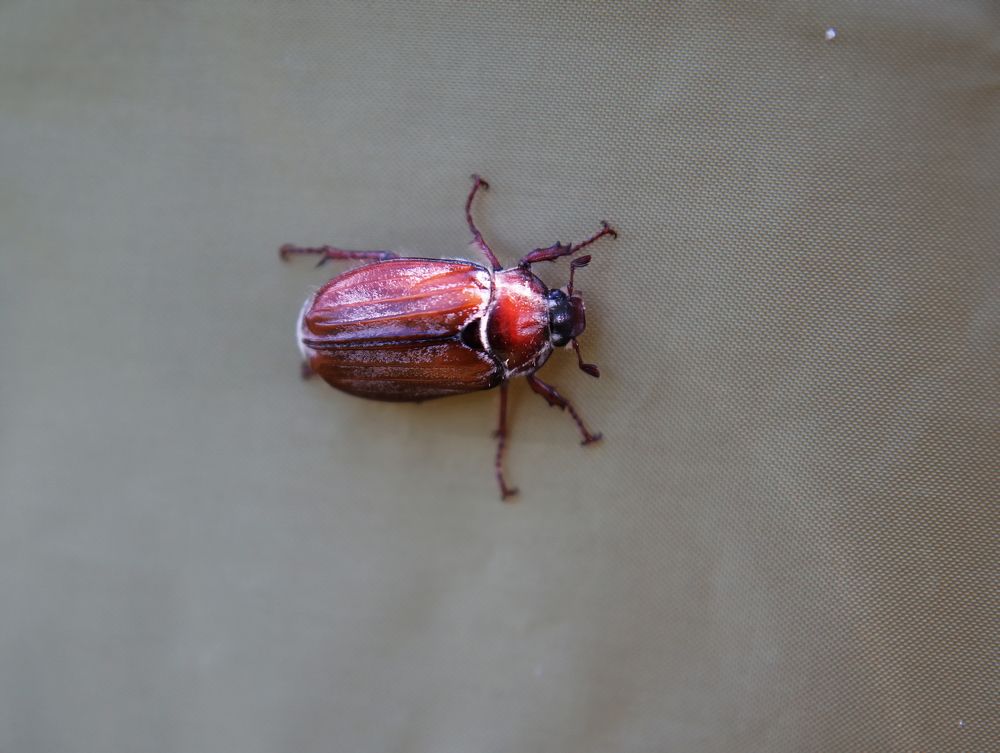 Photograph by Павлов Дмитрий