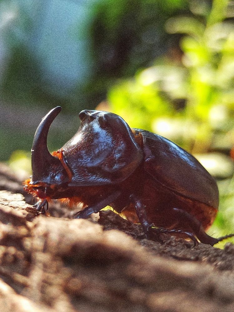 Photograph by Долгушева Татьяна