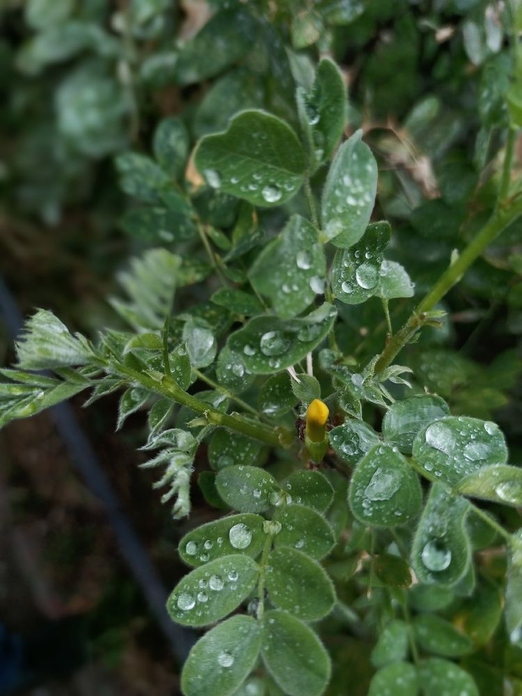 Photograph by Орехова Татьяна