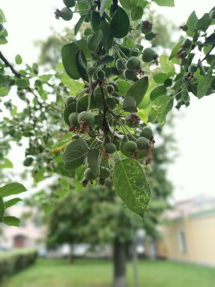 Photograph by Орехова Татьяна