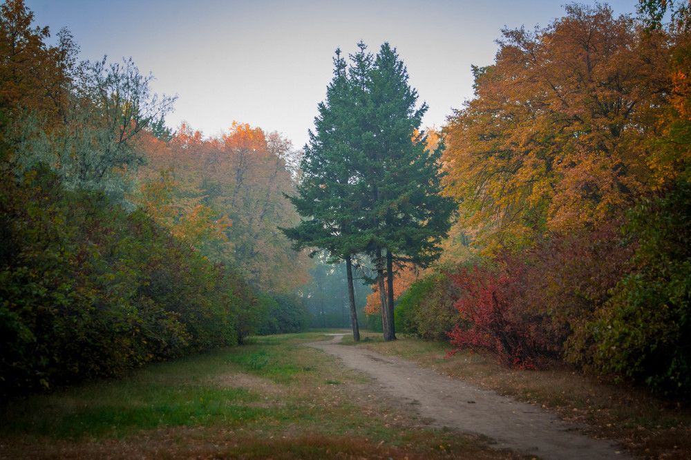 Фотография автора Ivan Karpoff