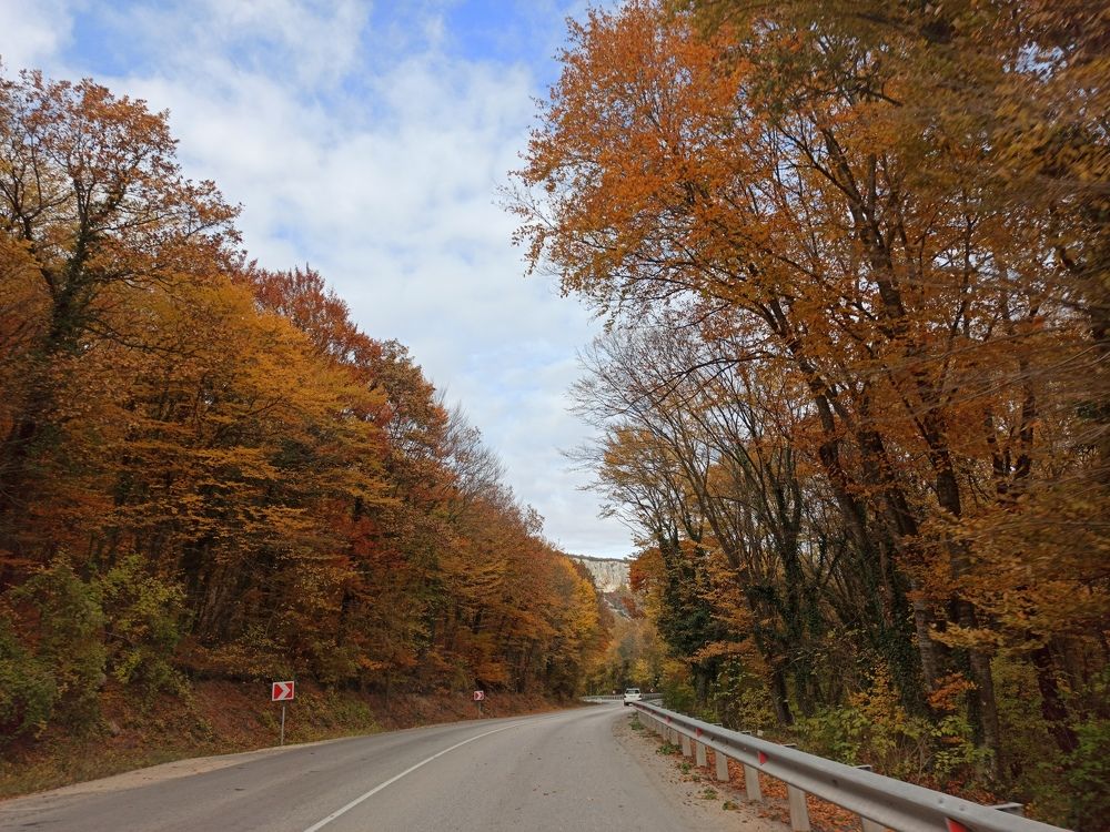 Photograph by Расшивина Дарья