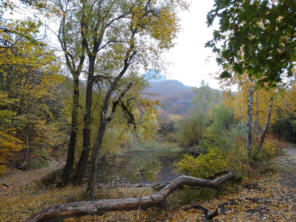 Photograph by Расшивина Дарья