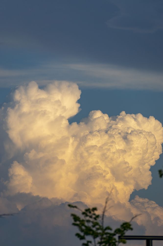 Photograph by Павлов Дмитрий