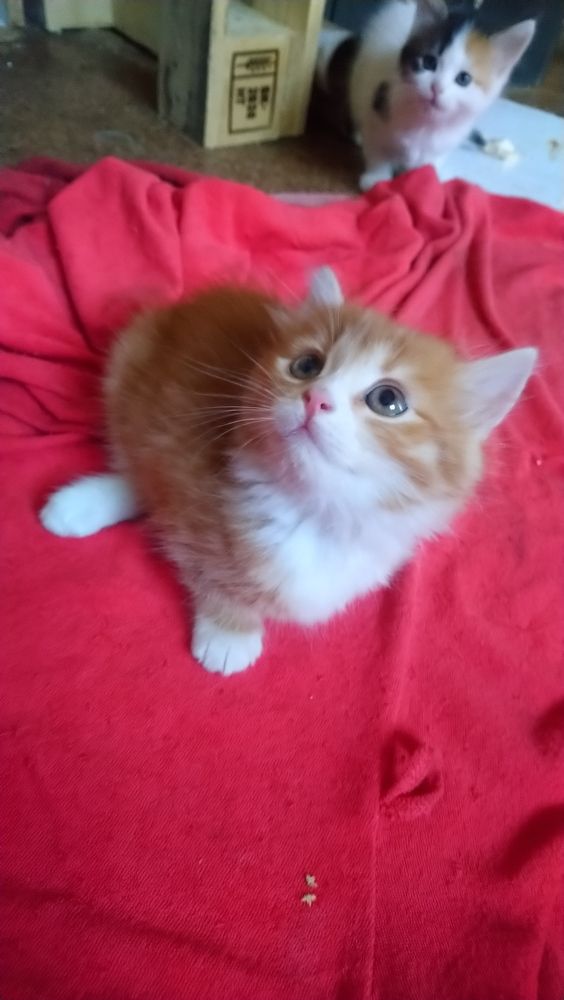 Photograph by Людмила Максименко