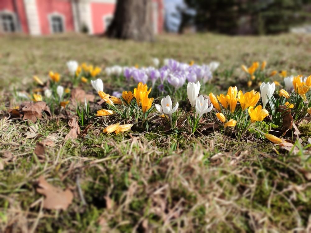 Photograph by Андрей Редьков