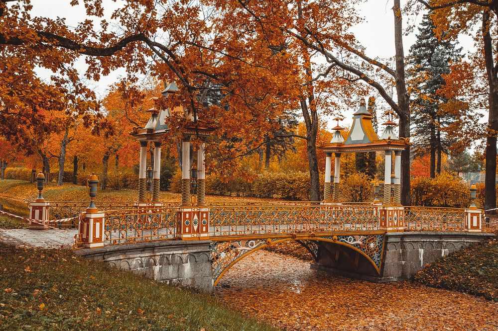 Photograph by Андрей Редьков