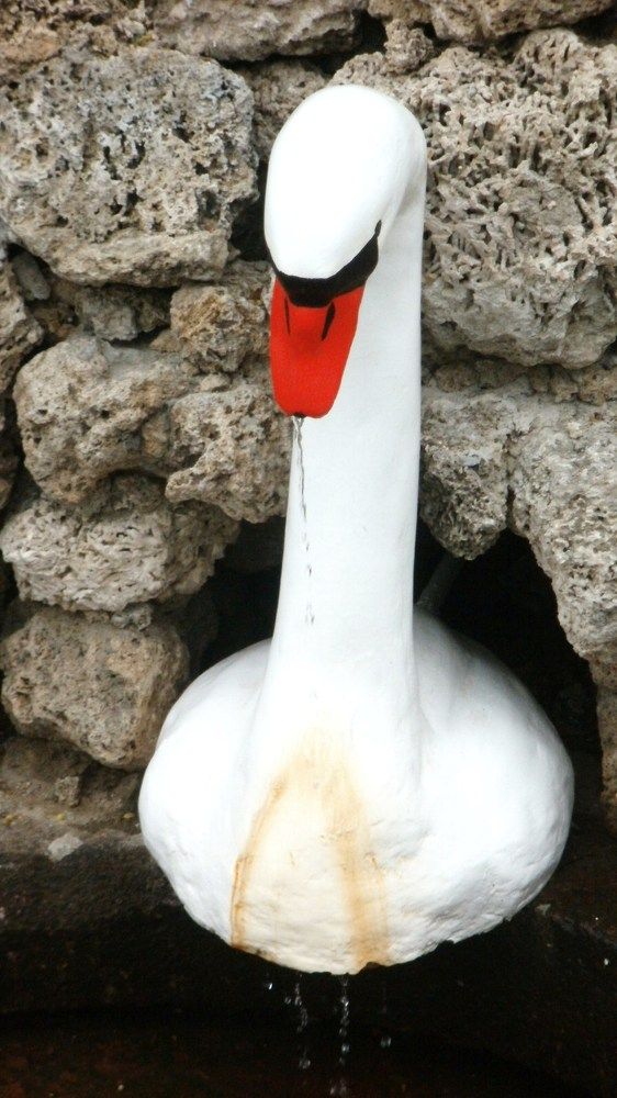 Фотография автора Irina Mihailovskaya