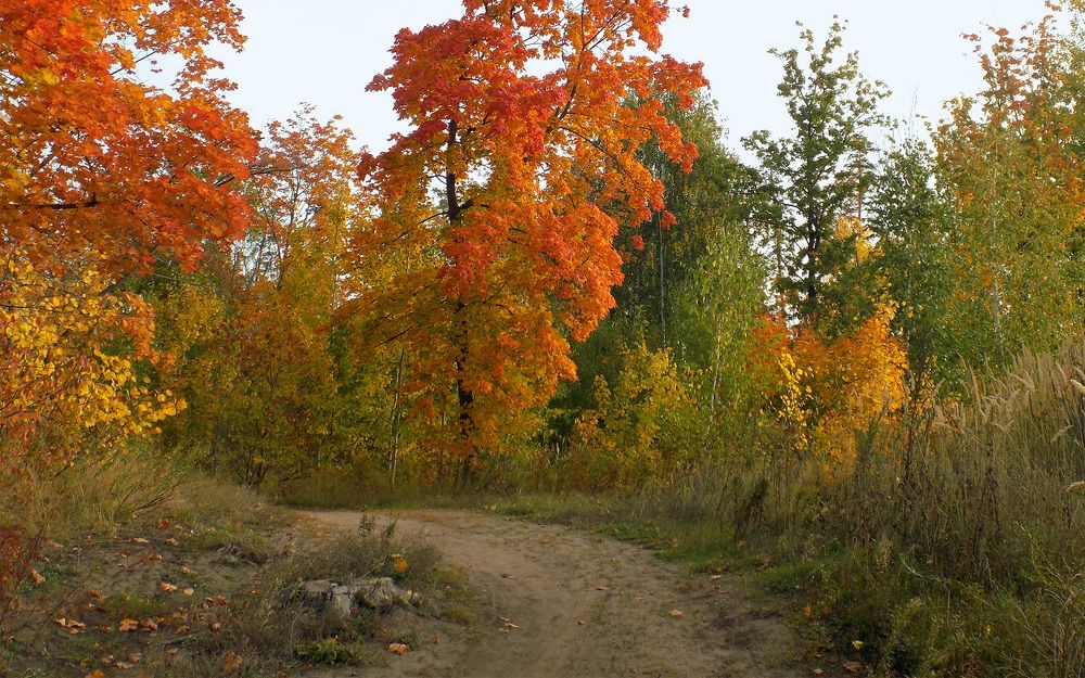 Photograph by Серега Вартман