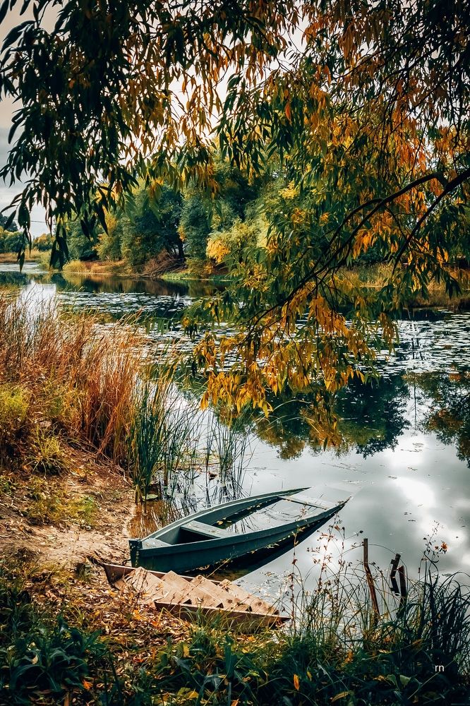 Фотография автора Андрей Потапов