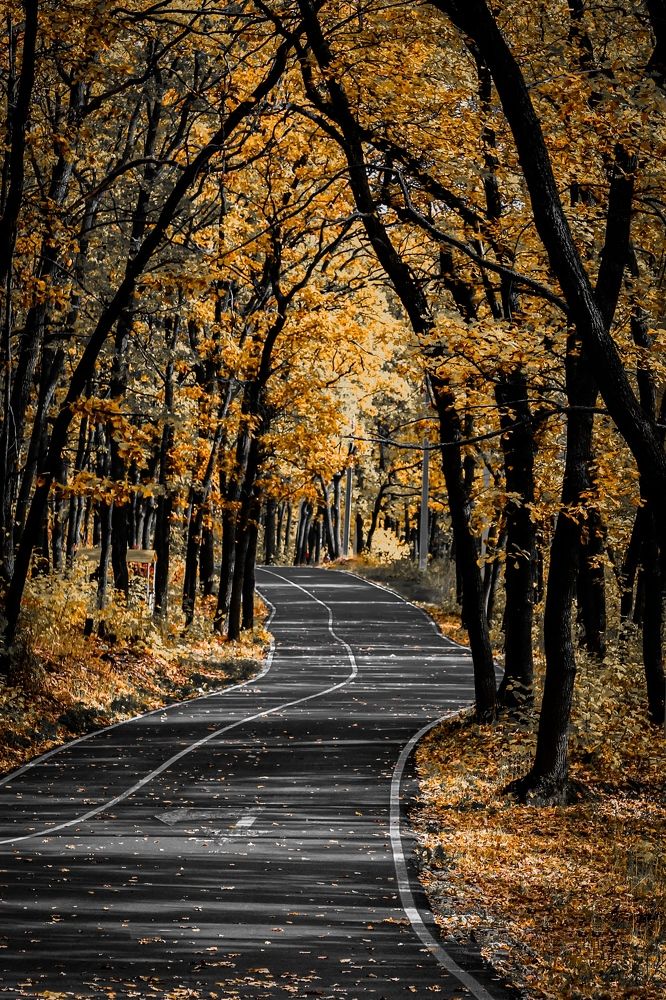 Фотография автора Андрей Потапов