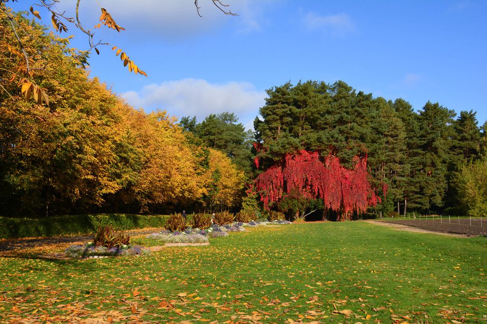 Photograph by Юлия Кузнецова