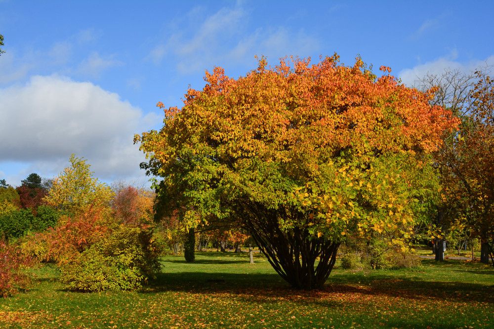 Photograph by Юлия Кузнецова