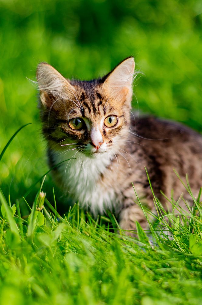 Photograph by Диана Герасимова