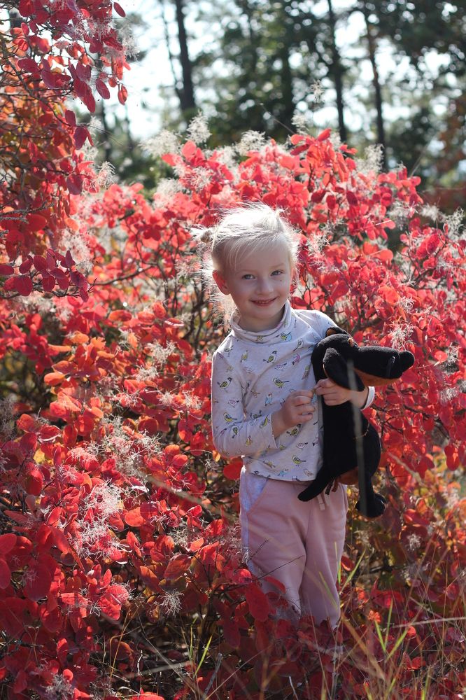 Photograph by Расшивина Дарья