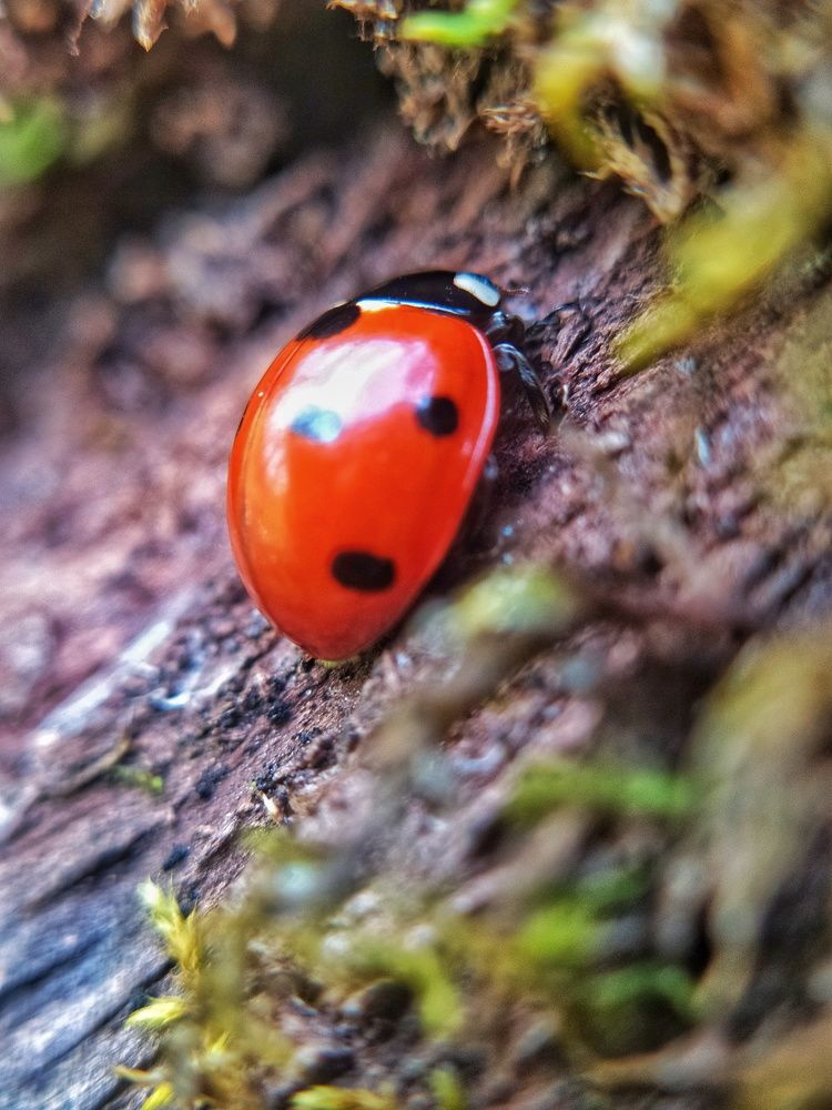 Photograph by Ксения