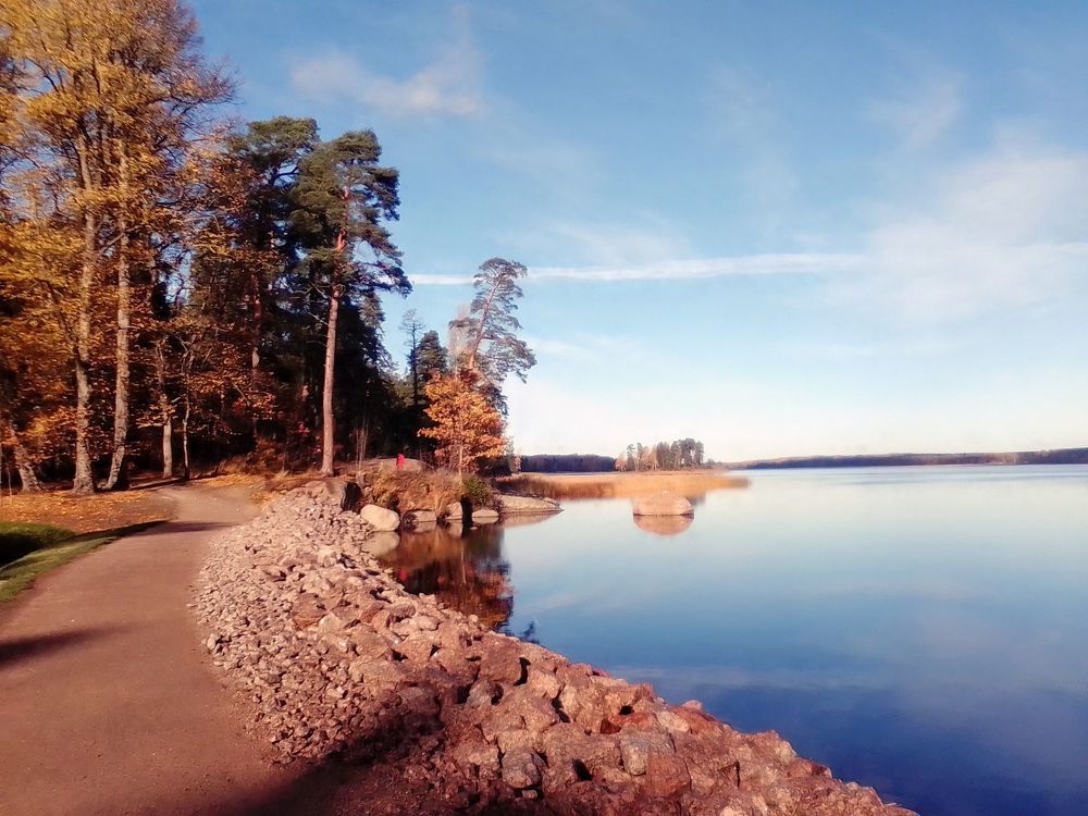 Фотография автора Irina Mihailovskaya