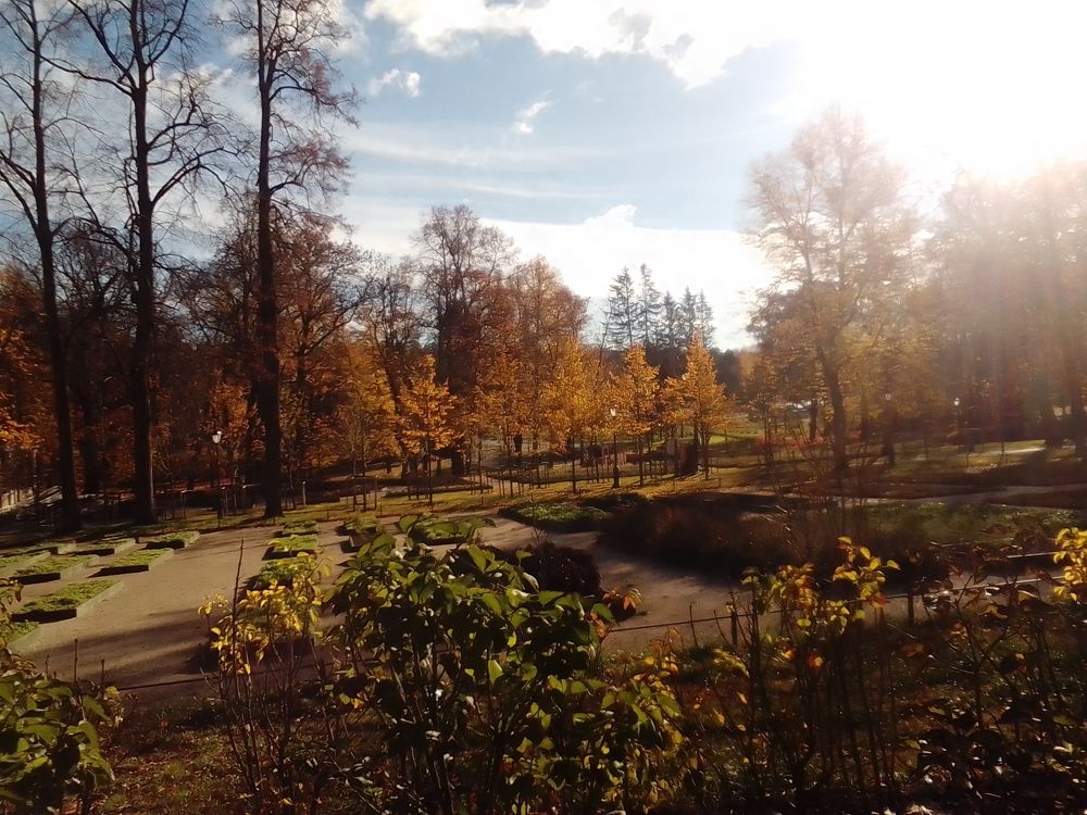 Фотография автора Irina Mihailovskaya