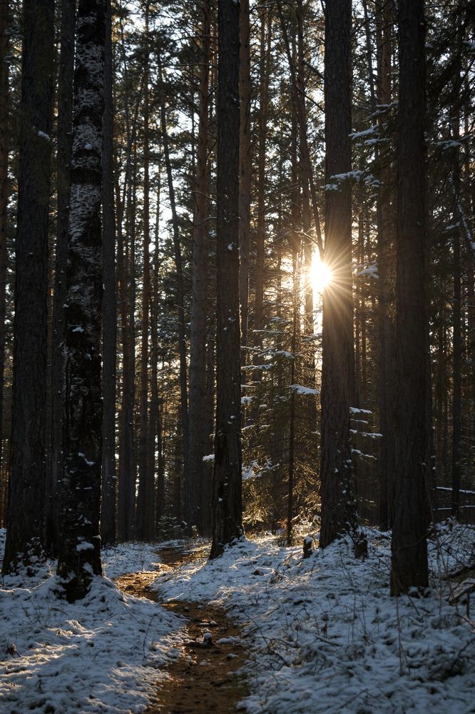 Photograph by Владислав Леонтьев