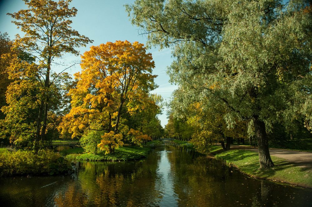 Photograph by Татьяна