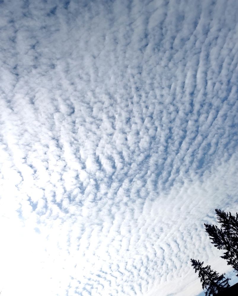 Фотография автора Рутковская Жанна