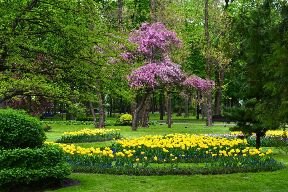 Photograph by Юлия Кузнецова