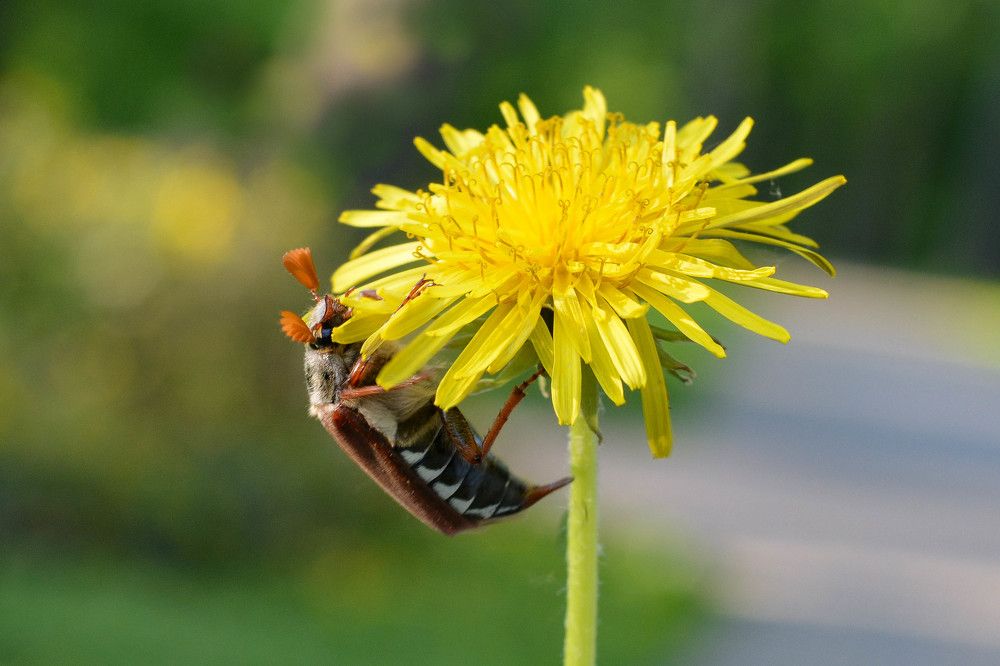 Photograph by Юлия Кузнецова