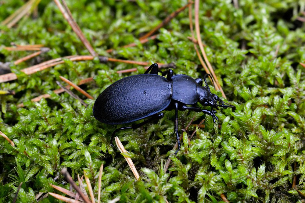 Photograph by Юлия Кузнецова