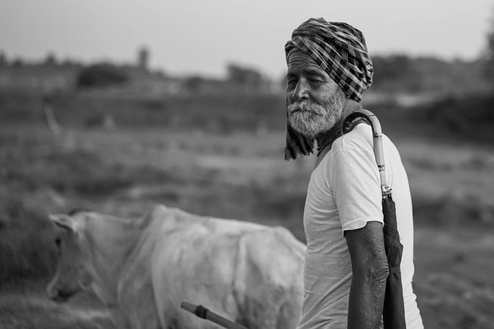 Фотография автора Arkoprobho Pal