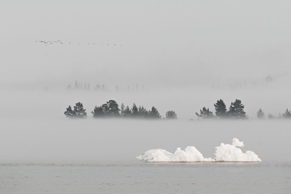 Photograph by Денис Фёдоров