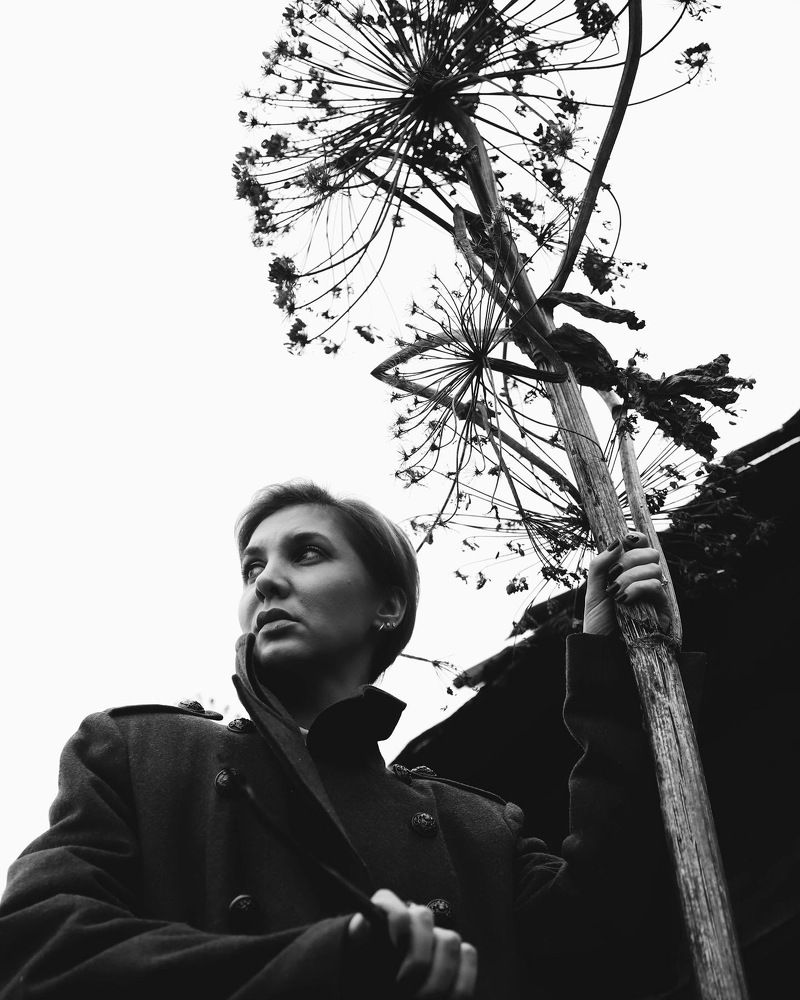 Фотография автора Валерия Витте