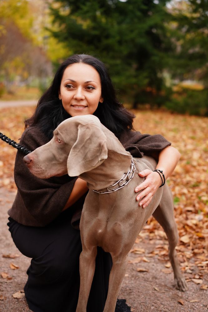 Мой лучший друг