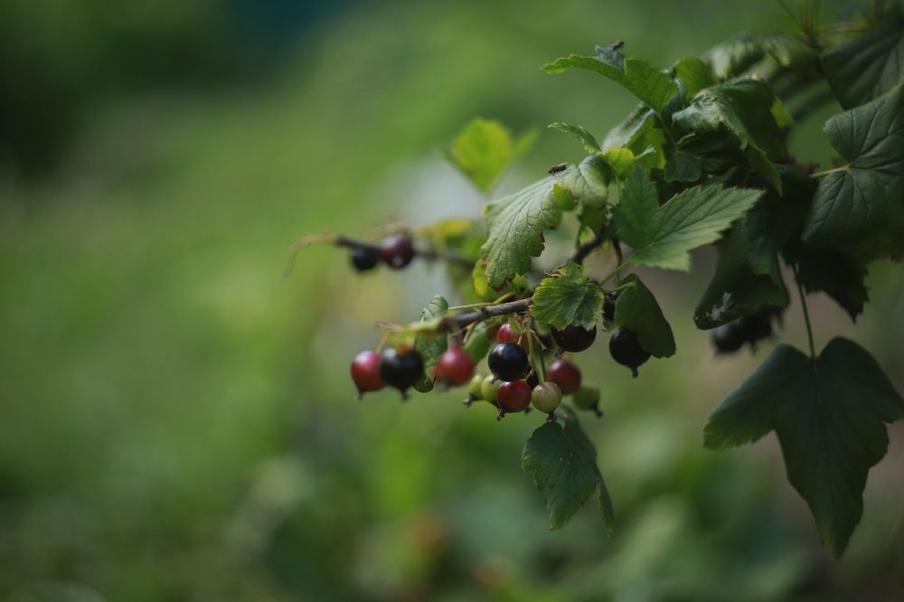 Photograph by Анастасия Павлова