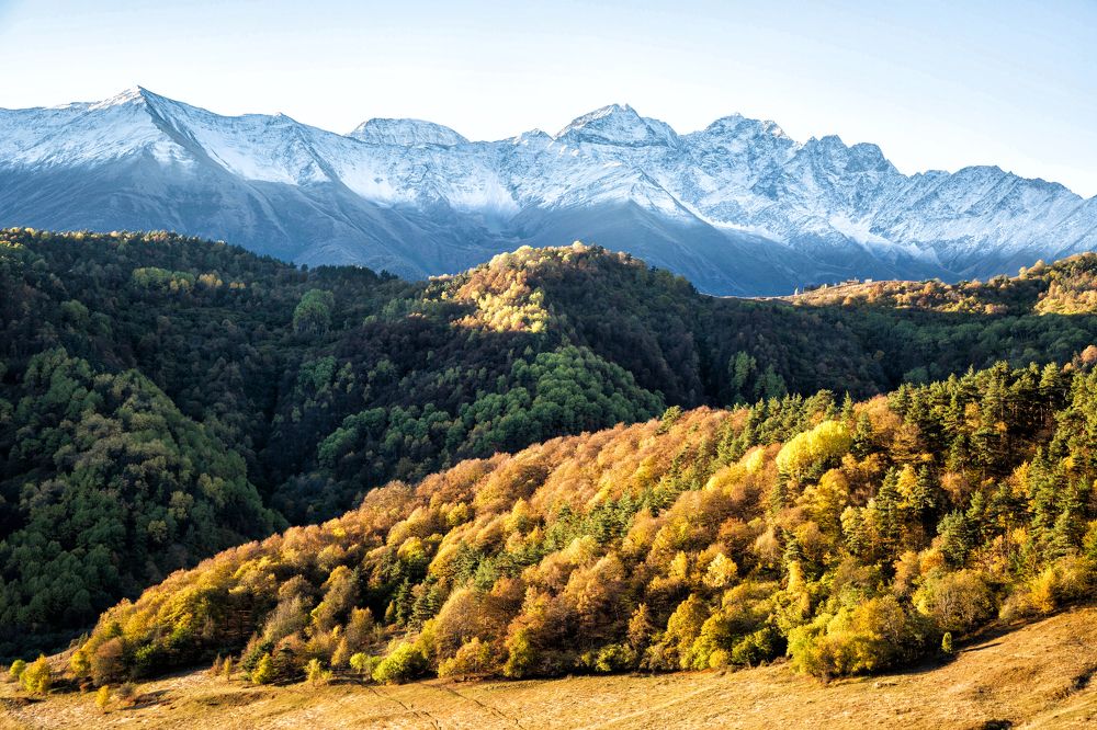 Photograph by Ирина Гентош