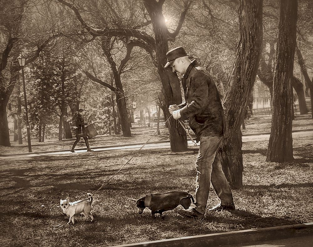 Прогулка в сквере.