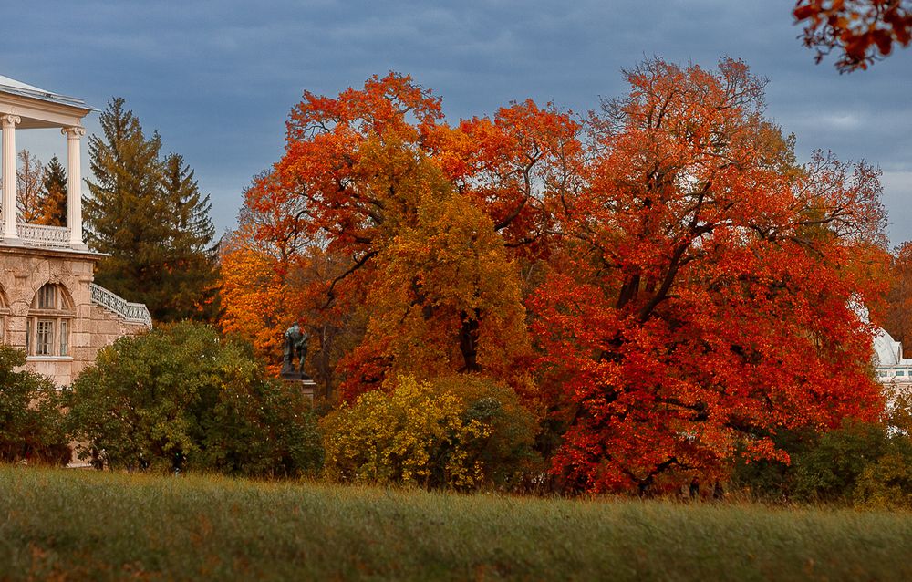 Photograph by Андрей Редьков