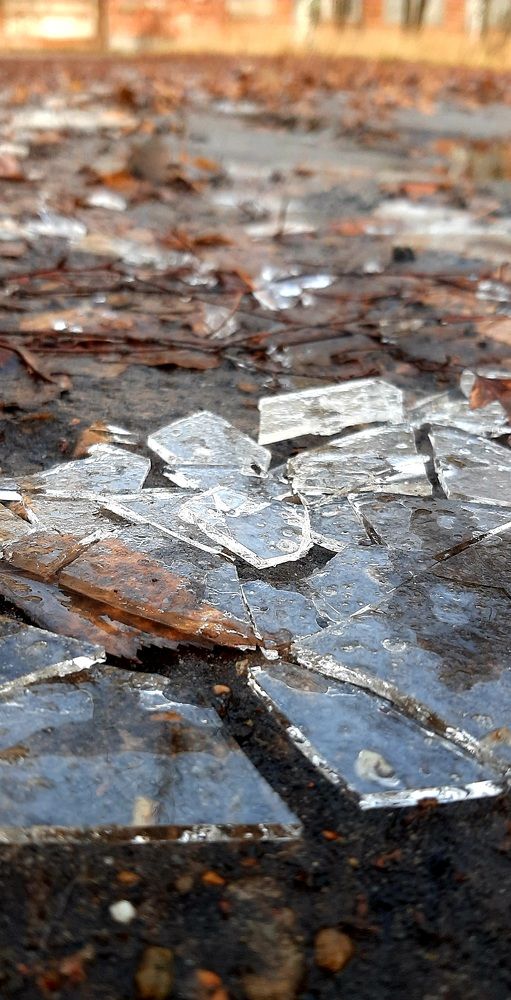 Фотография автора Мария