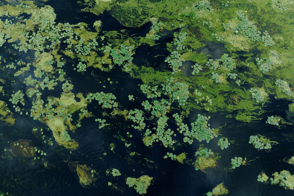 Photograph by Дмитрий Резников