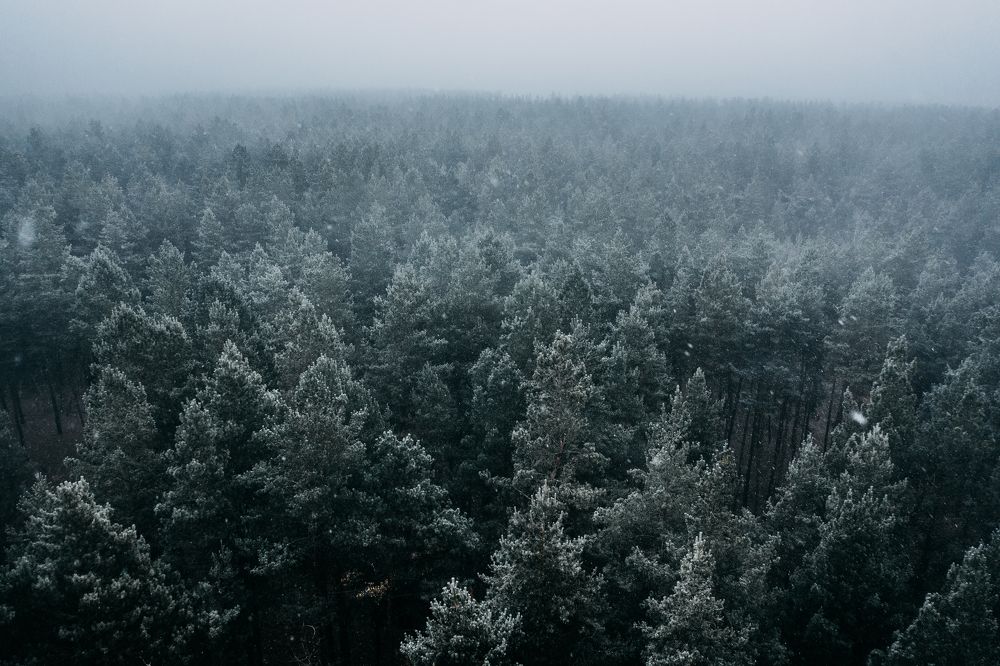 Photograph by Дмитрий Резников