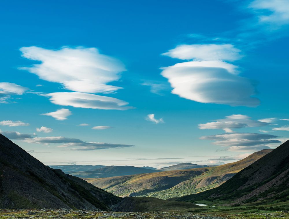 Фотография автора Лейла Матар