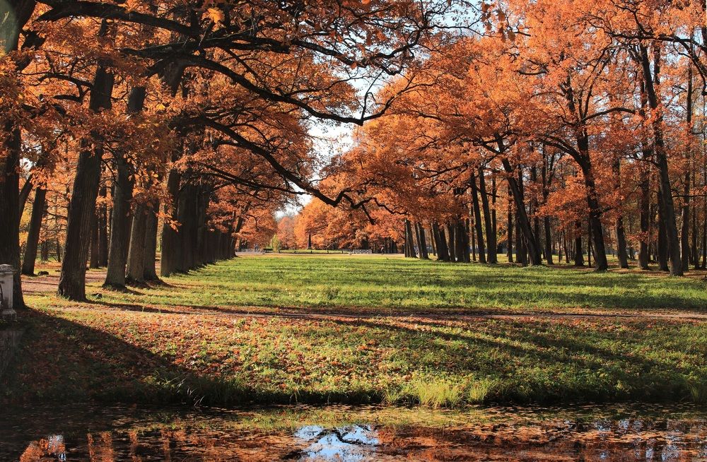 Photograph by Елена Николаева