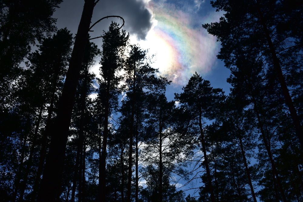 Фотография автора Любовь Панфилова