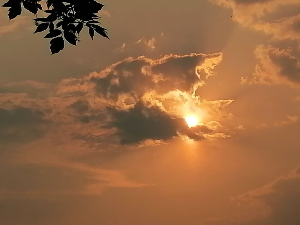 Фотография автора Любовь Панфилова